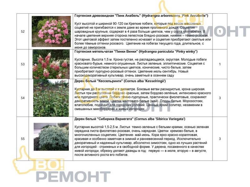 Проект благоустройства территории-102